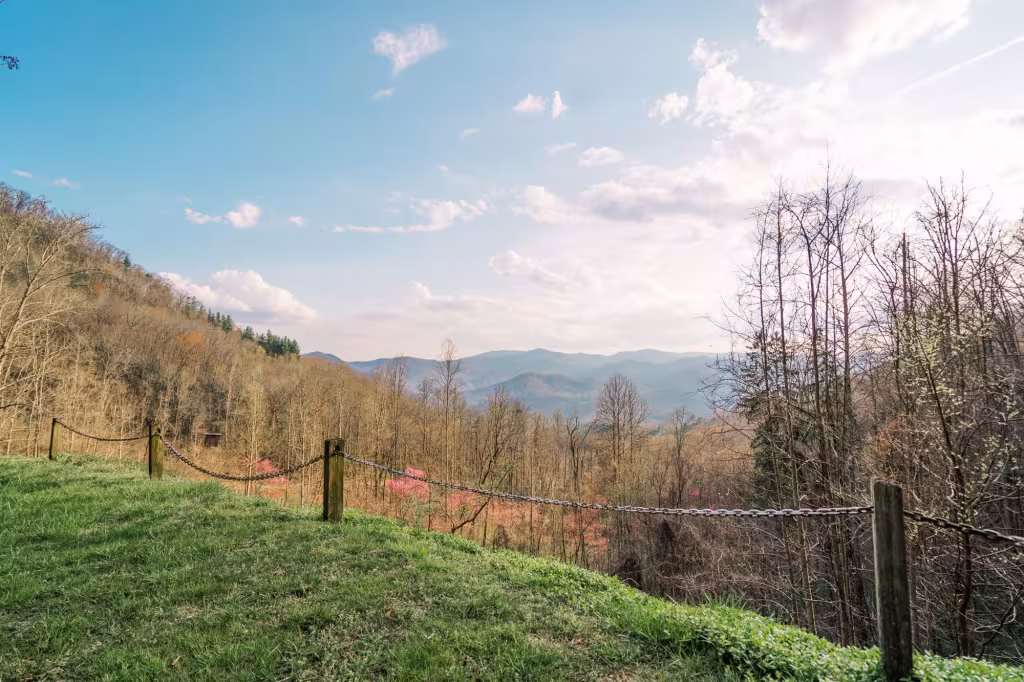 Spring lawn and mountains