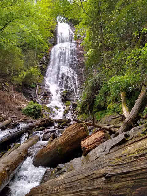 Mingo Falls, a long ribbon of white water dropping through green forest onto mossy logs
