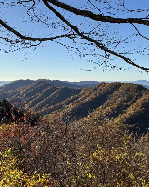 Autumn ridges of the Great Smoky Mountains from the Newfound Gap overlook
